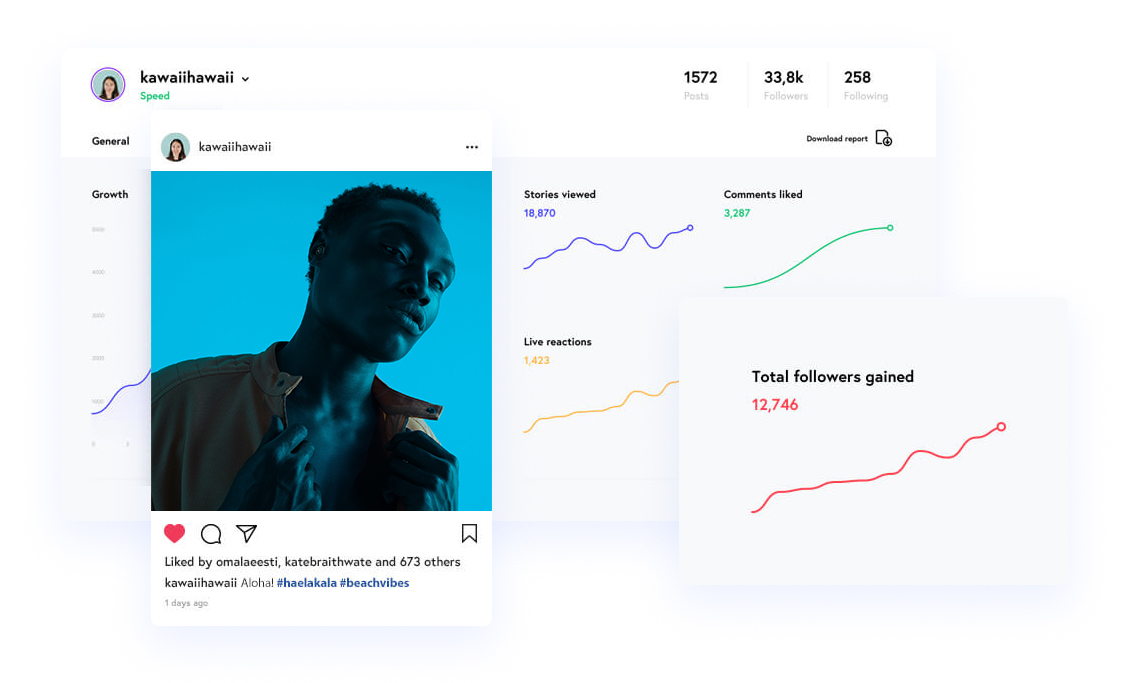 The dashboard of the InstaCaptain app for Instagram followers